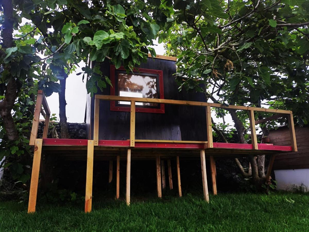 Azores Cow House Calhetas Exterior foto